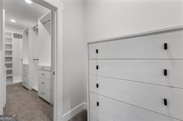 spacious closet with light carpet