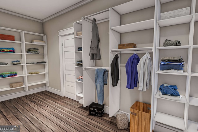 walk in closet with wood finished floors