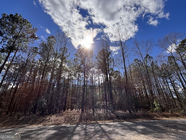 114 Collins Rd NW, Milledgeville GA, 31061 land for sale