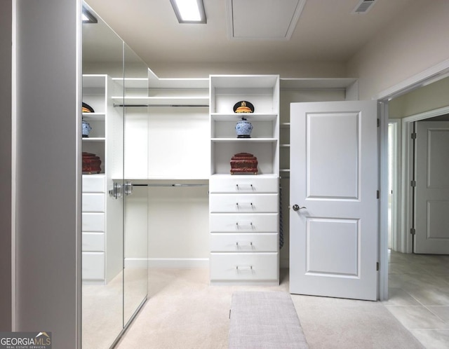 view of spacious closet