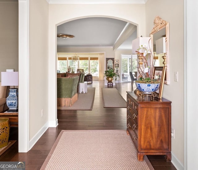 corridor featuring dark hardwood / wood-style flooring