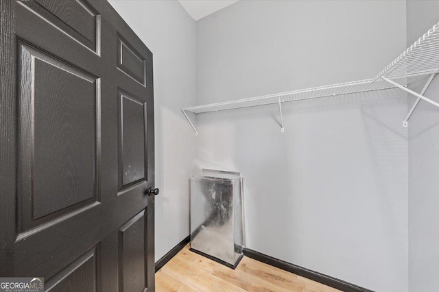 spacious closet featuring light hardwood / wood-style flooring