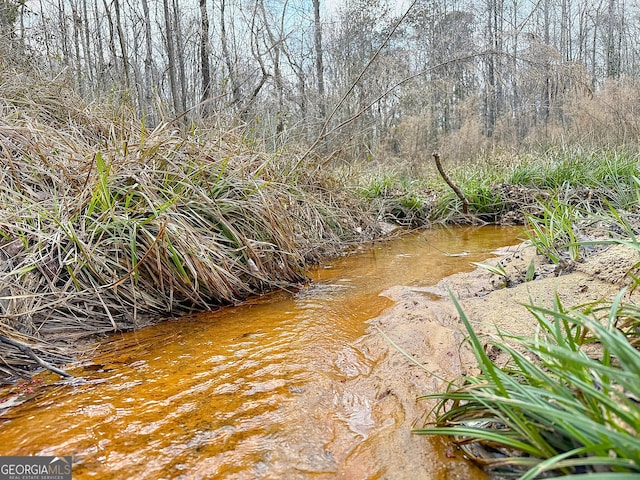 view of local wilderness