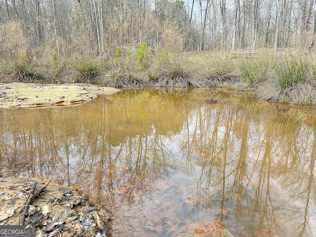 view of water feature with a forest view