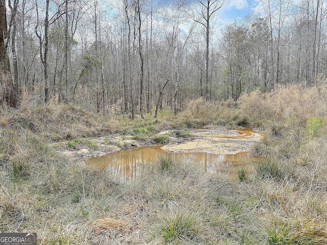 view of local wilderness with a forest view