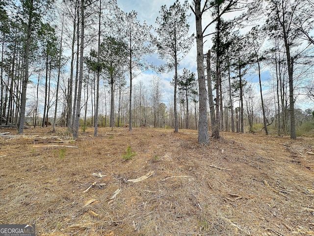 view of local wilderness