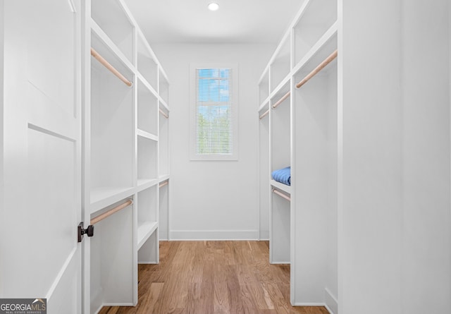 walk in closet with light wood-type flooring