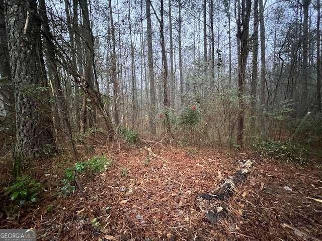 78 Bonds Ct, Hiram, GA 30141