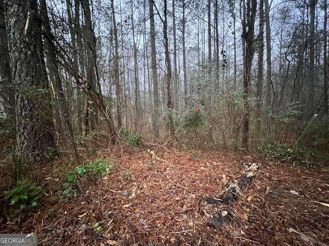 78 Bonds Ct, Hiram GA, 30141 land for sale