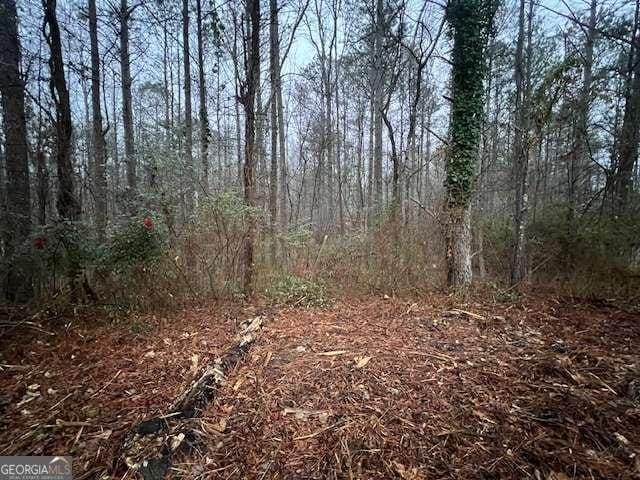 78 Bonds Ct, Hiram, GA 30141