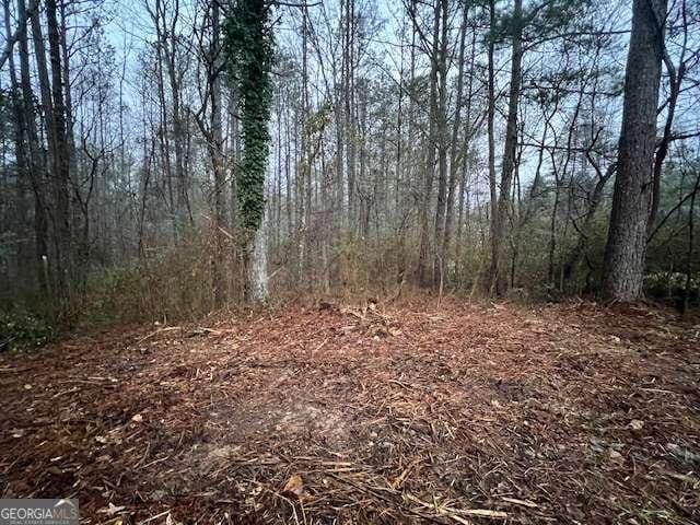 74 Bonds Ct, Hiram GA, 30141 land for sale