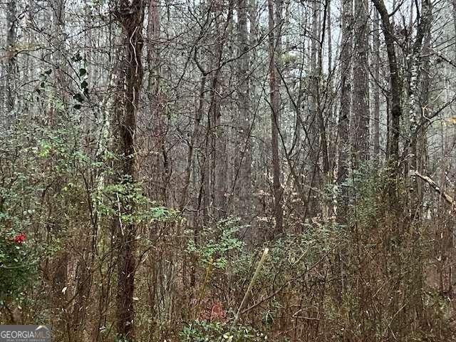 74 Bonds Ct, Hiram, GA 30141