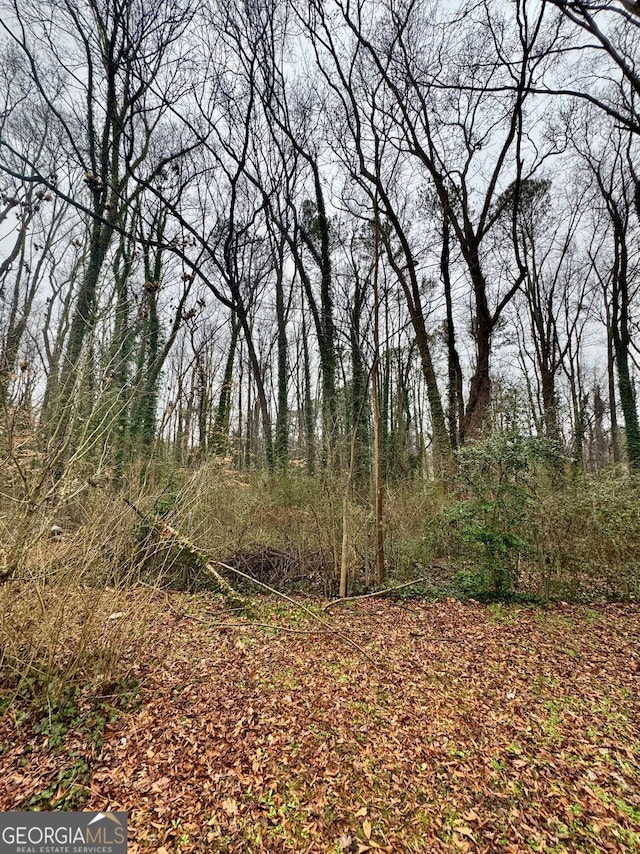 3230 Altacrest Dr, Scottdale, GA 30079 - view of nature