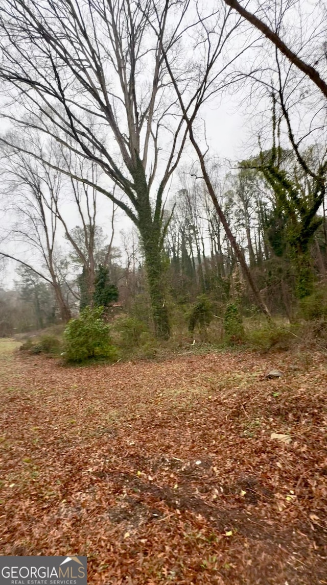 3230 Altacrest Dr, Scottdale, GA 30079 - view of local wilderness