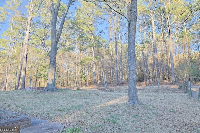 view of yard with a wooded view