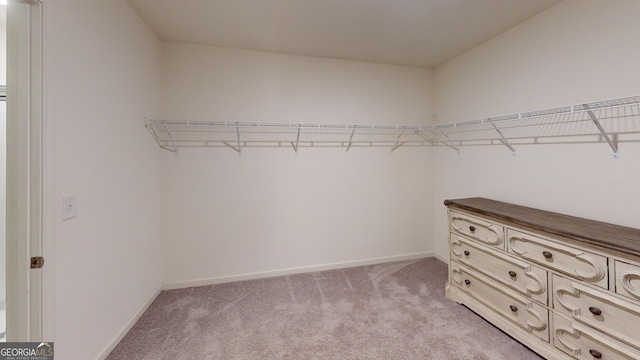 spacious closet featuring light colored carpet