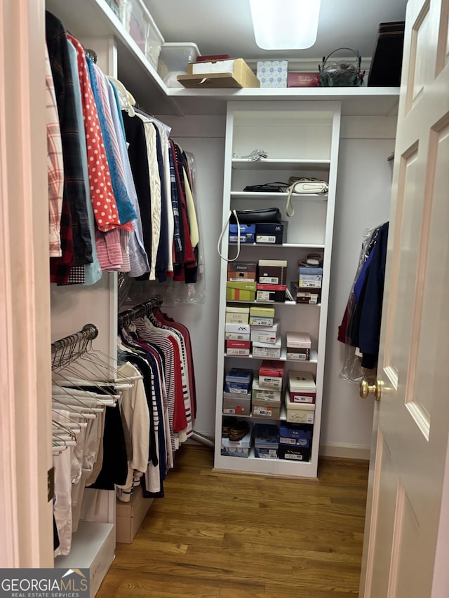 walk in closet featuring wood finished floors