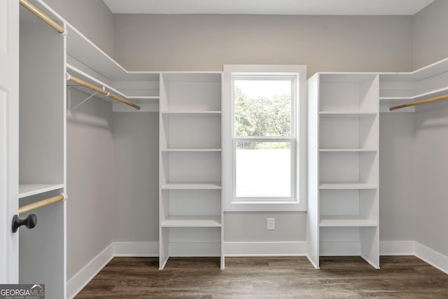 spacious closet featuring dark hardwood / wood-style floors