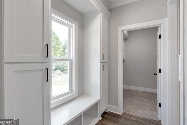 mudroom with dark hardwood / wood-style flooring