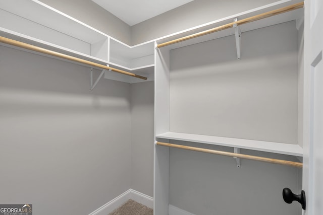 spacious closet featuring carpet floors