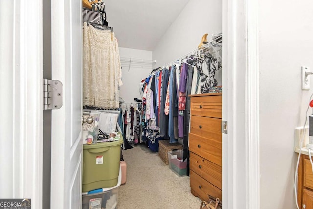 walk in closet featuring carpet floors