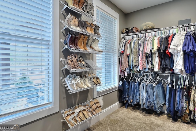 walk in closet with carpet