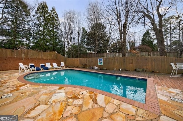 view of pool featuring a patio