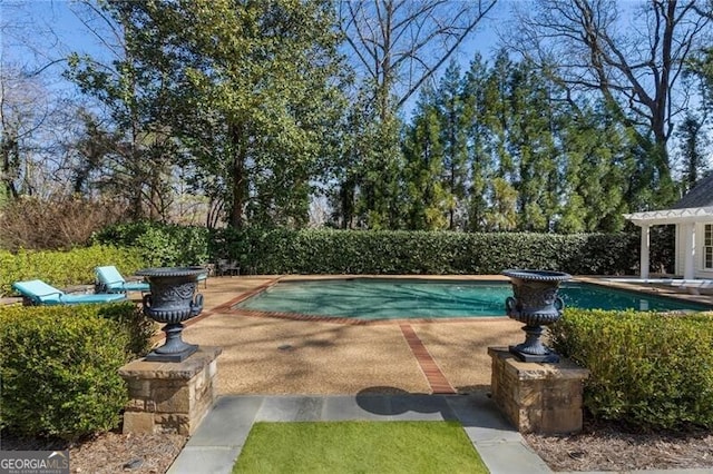 view of swimming pool featuring a patio area