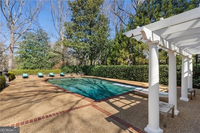 view of swimming pool with a patio, a pergola, and a diving board