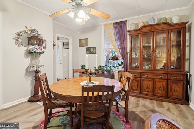 dining room featuring light wood-type flooring, crown molding, and ceiling fan