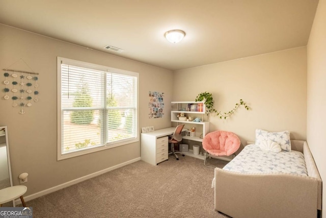 bedroom featuring carpet flooring