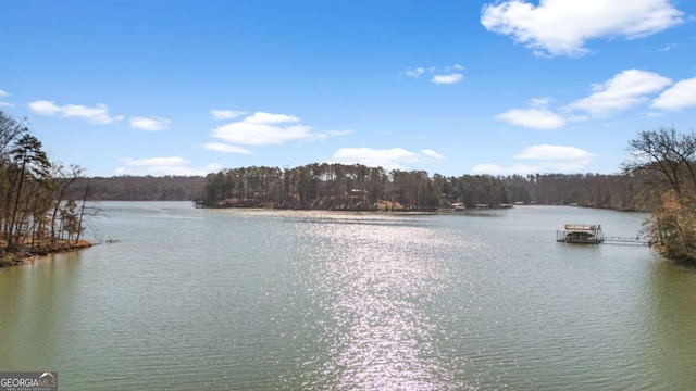 4080 Ryckeley Dr, Gainesville, GA 30504 - water view with a forest view