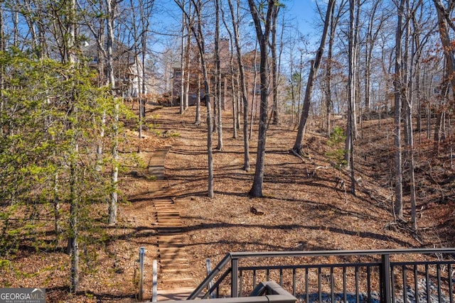 4080 Ryckeley Dr, Gainesville, GA 30504 - view of yard