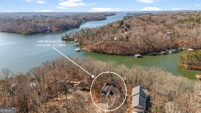 4080 Ryckeley Dr, Gainesville, GA 30504 - birds eye view of property with a water view and a view of trees