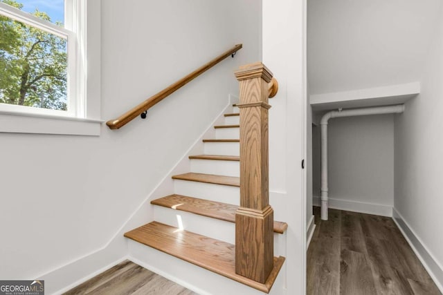 stairs featuring a healthy amount of sunlight and wood-type flooring