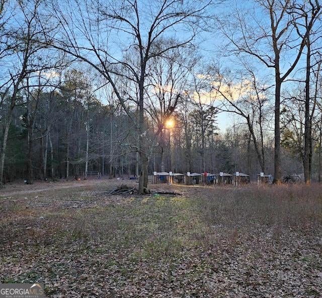 249 Ponderosa Ln, Barnesville, GA 30204 - view of yard at dusk