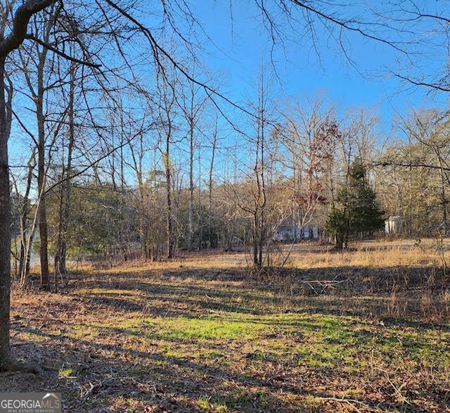 249 Ponderosa Ln, Barnesville, GA 30204 - view of yard