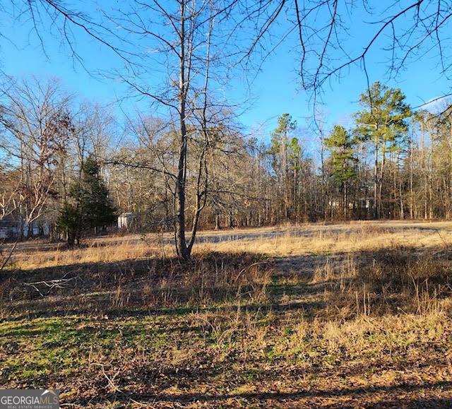 249 Ponderosa Ln, Barnesville, GA 30204 - view of yard