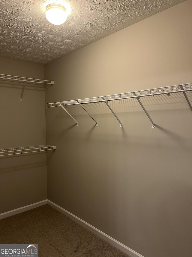 walk in closet featuring carpet floors