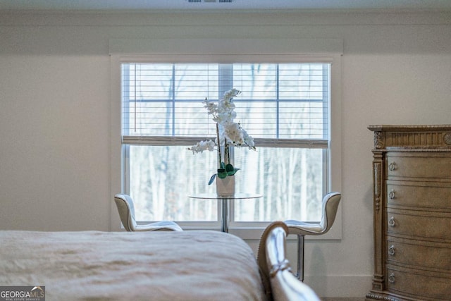 bedroom featuring multiple windows