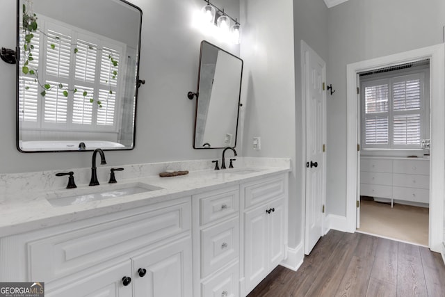 bathroom with wood-type flooring and vanity