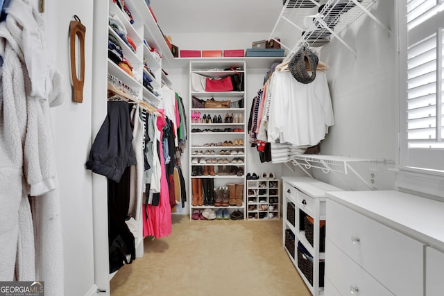 view of spacious closet