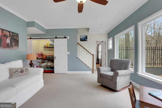 living room with carpet, ornamental molding, ceiling fan, and a barn door