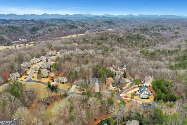 birds eye view of property featuring a mountain view