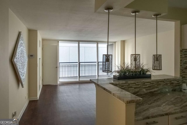 hall featuring dark hardwood / wood-style flooring and floor to ceiling windows