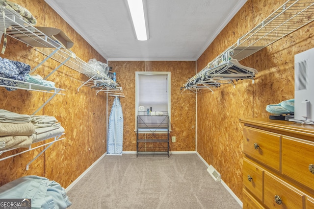 spacious closet featuring carpet floors