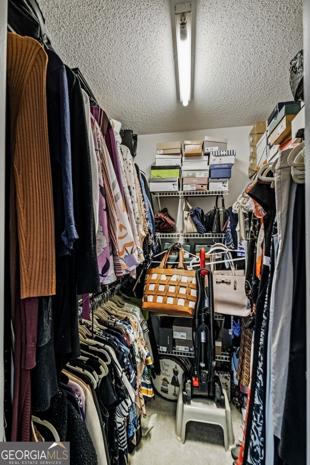 spacious closet with carpet floors