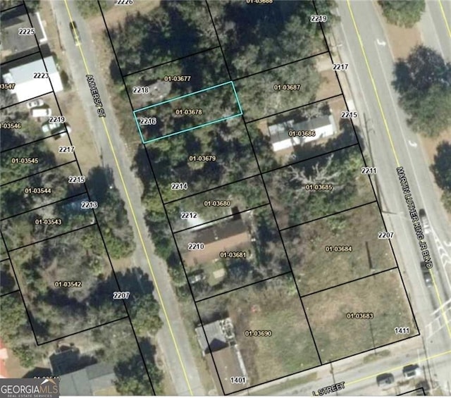 2216 Amherst St, Brunswick GA, 31520 land for sale