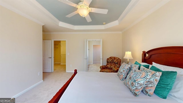 carpeted bedroom with crown molding, a walk in closet, a tray ceiling, and ceiling fan