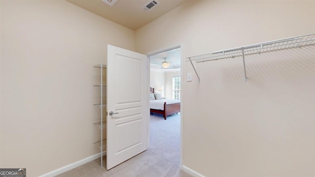 spacious closet with light carpet